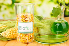Worth biofuel availability