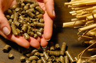 free Worth biomass boiler quotes